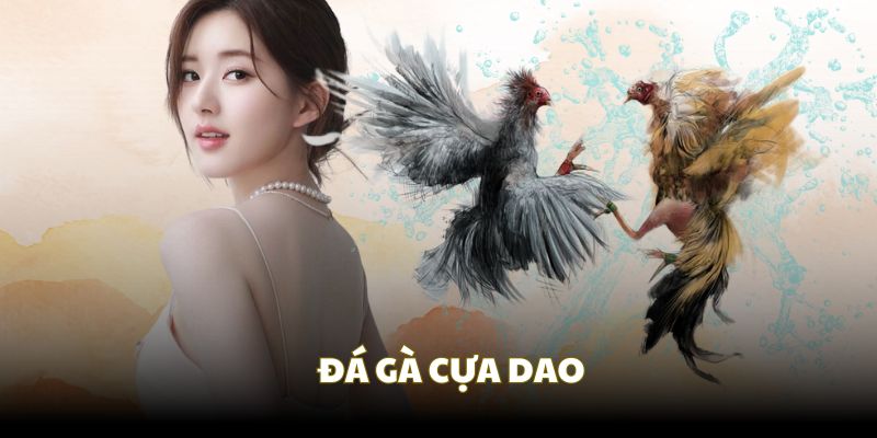 Cựa dao tăng sự khốc liệt cho mỗi trận đá