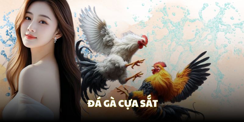 đá gà cựa sắt