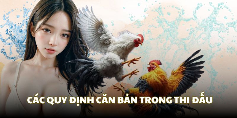 Nguyên tắc vận hành và tổ chức các trận đấu